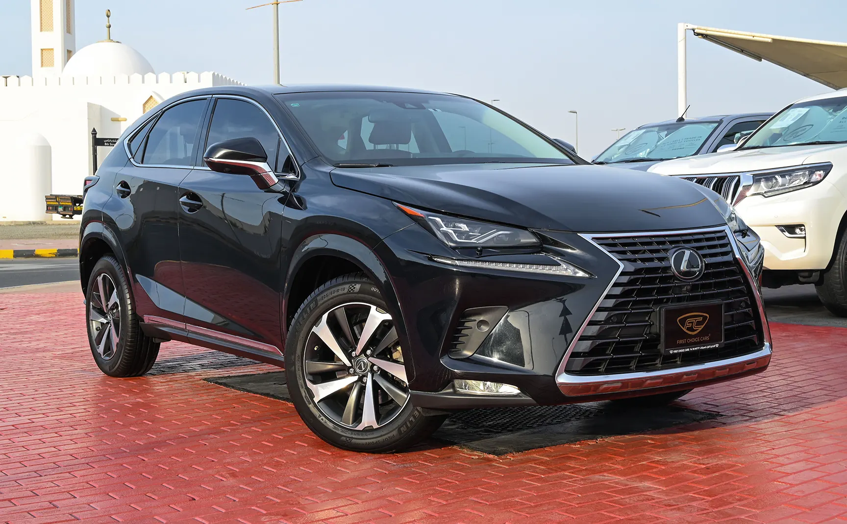 Lexus NX-SERIES NX-SERIES NX 300 PLATINUM 2019