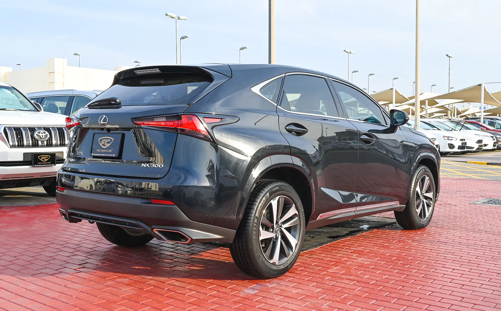 Lexus NX-SERIES NX-SERIES NX 300 PLATINUM 2019