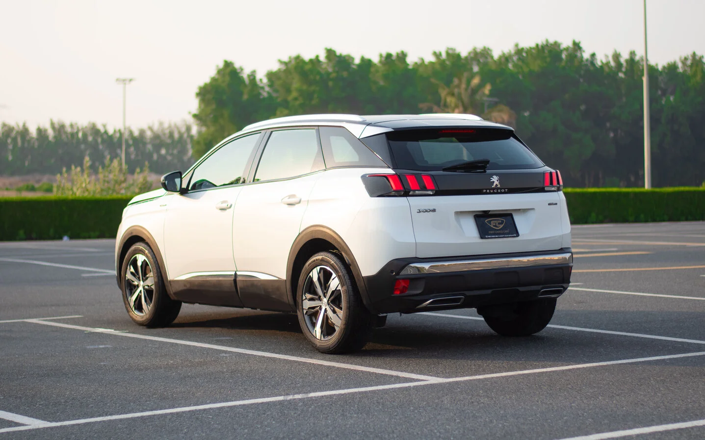 Peugeot 3008 3008 GT LINE 2020