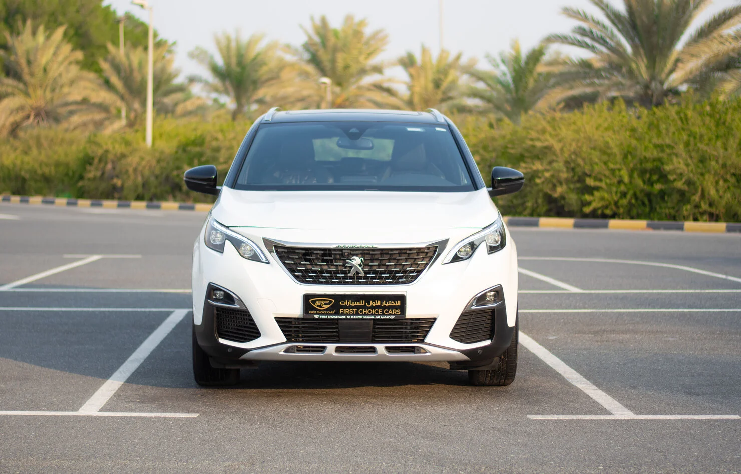 Peugeot 3008 3008 GT LINE 2020