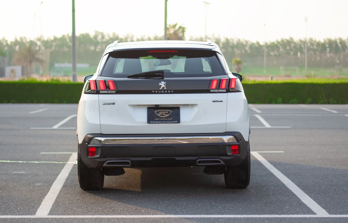 Peugeot 3008 3008 GT LINE 2020