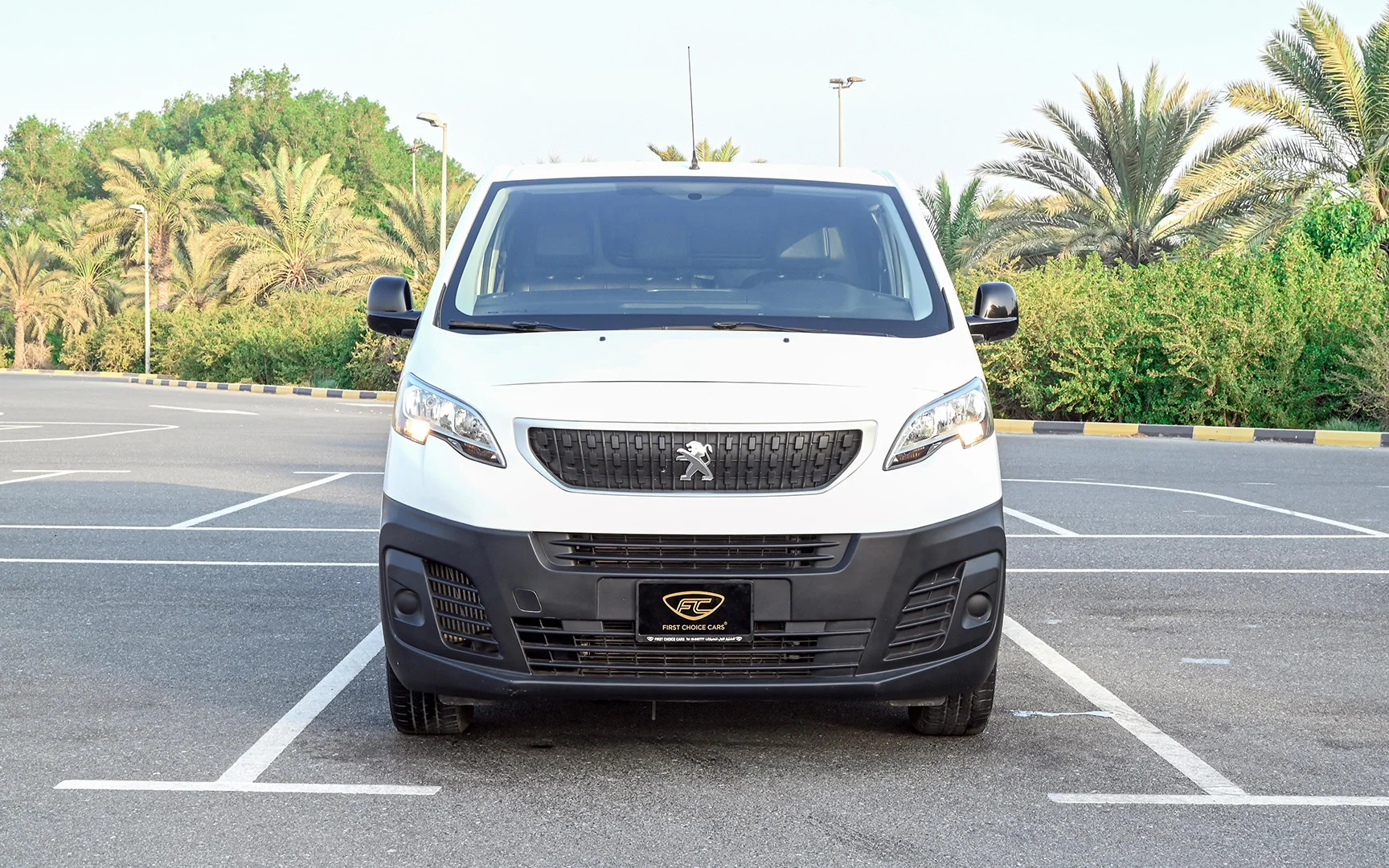 Peugeot EXPERT EXPERT Delivery Van 2020